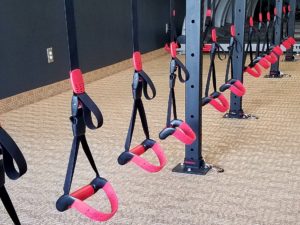 The Lifeline Jungle Gym XT - is our choice for TRX style Suspension Training Systems at Hard Charger Training Center (Personal Training Gym & Boot Camp in Thousand Oaks)