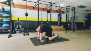 How to do Cat Cows - with your hands turned backward. 1 of over 100 exercises in our FREE Exercise Library by USMC Veteran & Personal Trainer Marine Miguel.