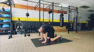 How to do Cat Cows - with your hands forward. 1 of over 100 exercises in our FREE Exercise Library by USMC Veteran & Personal Trainer Marine Miguel.