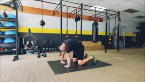 How to do Cat Cows - with your hands turned inward. 1 of over 100 exercises in our FREE Exercise Library by USMC Veteran & Personal Trainer Marine Miguel.